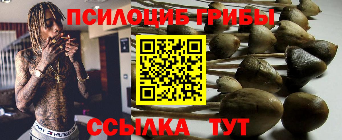 Галлюциногенные грибы ЛСД Мценск